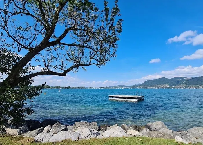 Cozy Einigen Apartman Spiez